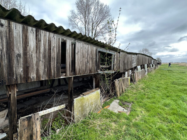 1880-1960 Handel in eieren [video]