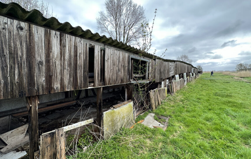1880-1960 Handel in eieren [video]