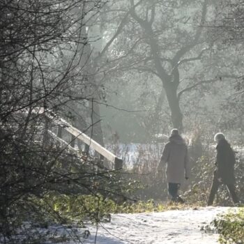 Idyllische beelden uit het sneeuwwitte Twiske