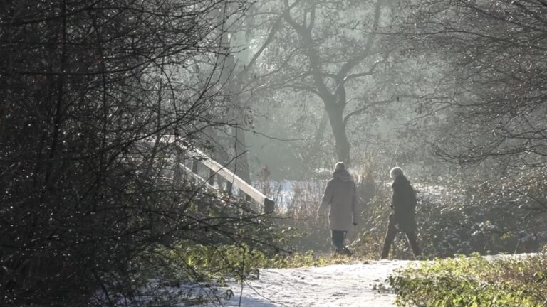 Idyllische beelden uit het sneeuwwitte Twiske
