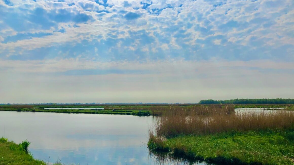 Gemeente verkoopt grond bij Dorre Ilp aan Provincie
