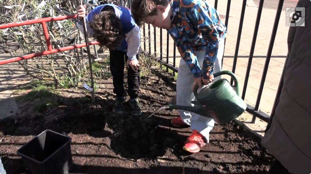 Schoolplein Montessorischool verrijkt met een voedselbosje