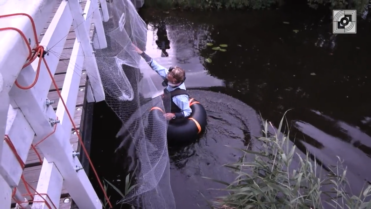 Vleermuisonderzoek in Landsmeer