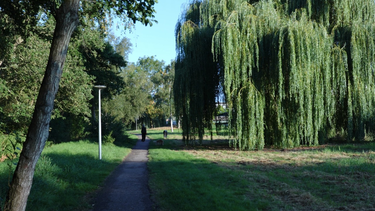 SP stelt vragen over verplaatsing Wijkpark onder hoogspanningslijn